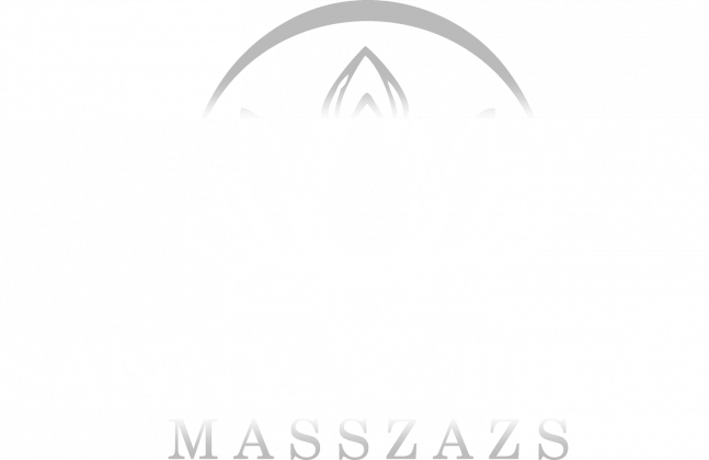 sany thai logo_white_tran2